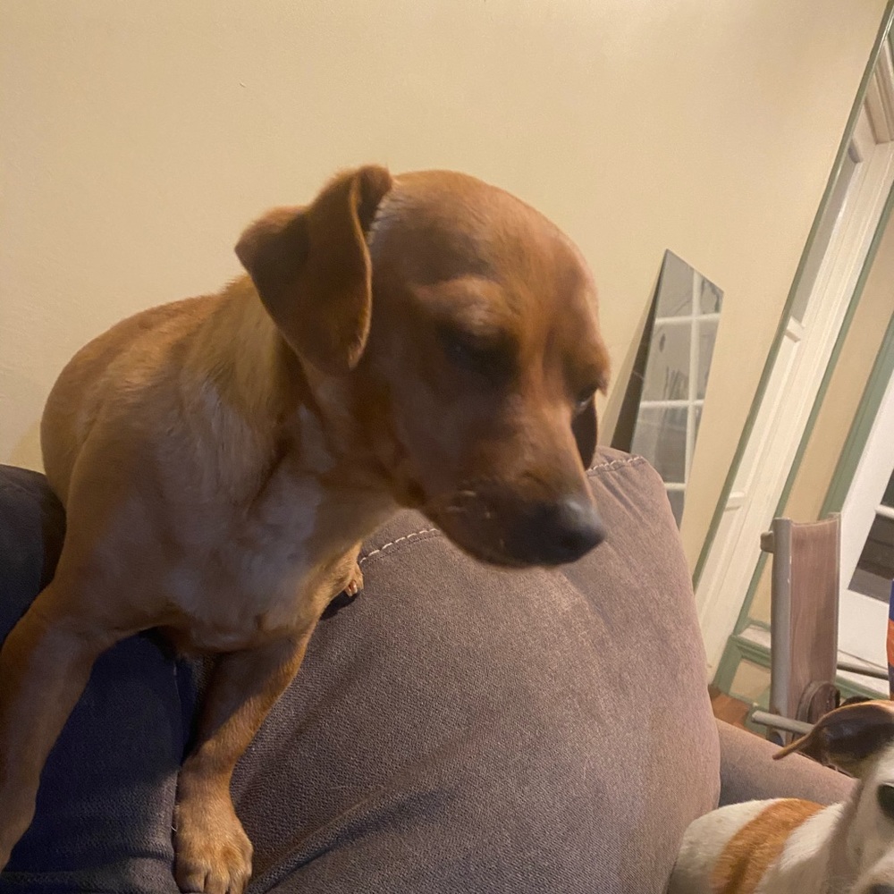 Meet your Posher, Rolando